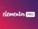 elementor pro